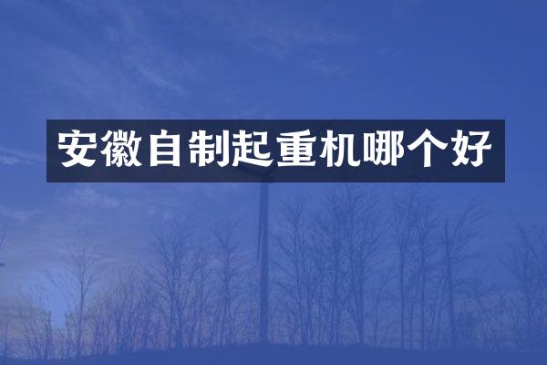 安徽自制起重機(jī)哪個(gè)好