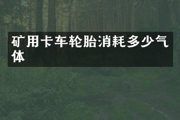 礦用卡車輪胎消耗多少氣體