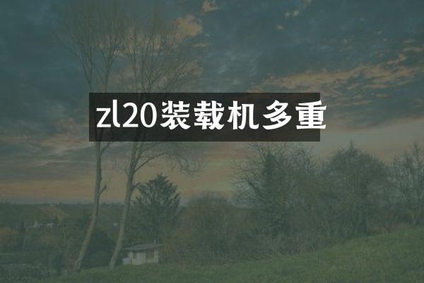 zl20裝載機(jī)多重