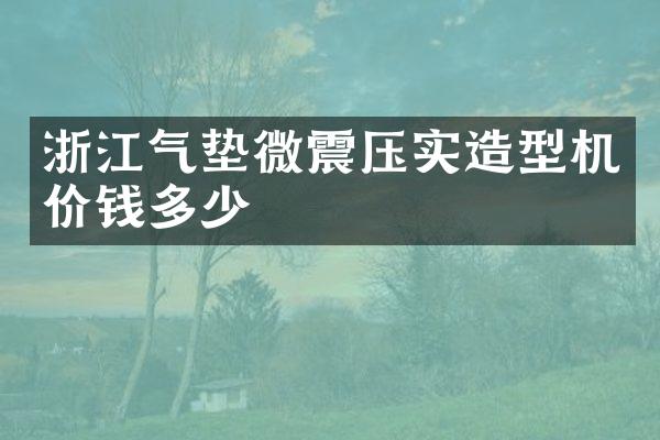 浙江氣墊微震壓實造型機價錢多少