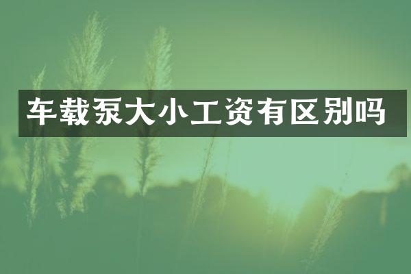 車載泵大小工資有區(qū)別嗎