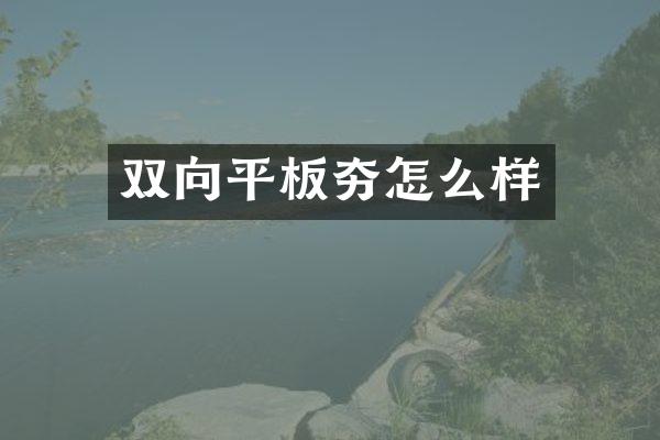 雙向平板夯怎么樣