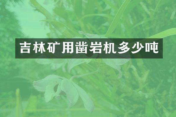 吉林礦用鑿巖機(jī)多少噸