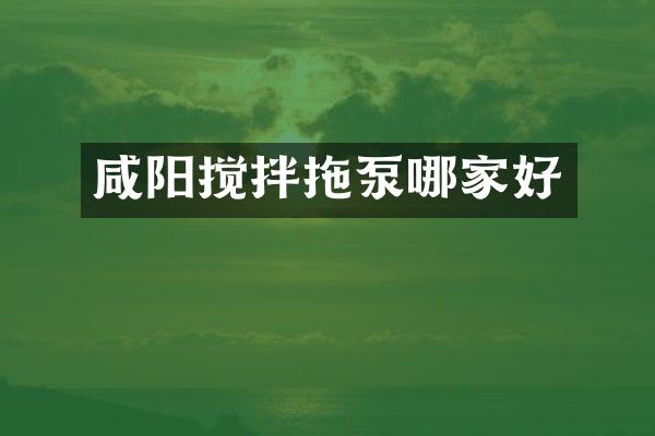 咸陽攪拌拖泵哪家好