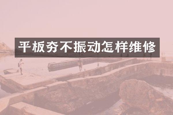 平板夯不振動(dòng)怎樣維修