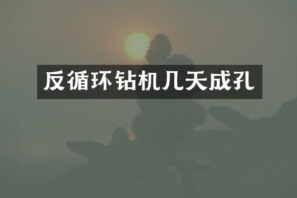 反循環(huán)鉆機(jī)幾天成孔