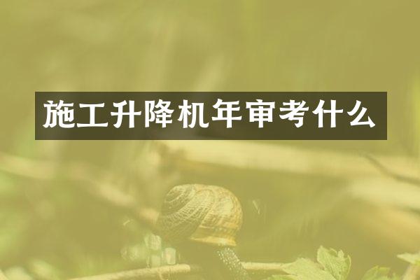 施工升降機(jī)年審考什么