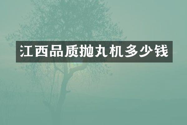 江西品質(zhì)拋丸機(jī)多少錢