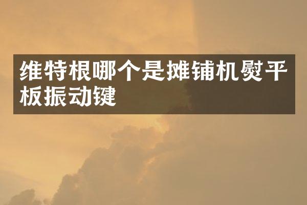 維特根哪個(gè)是攤鋪機(jī)熨平板振動(dòng)鍵