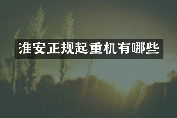 淮安正規(guī)起重機(jī)有哪些