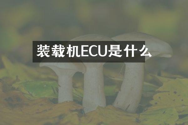 裝載機(jī)ECU是什么