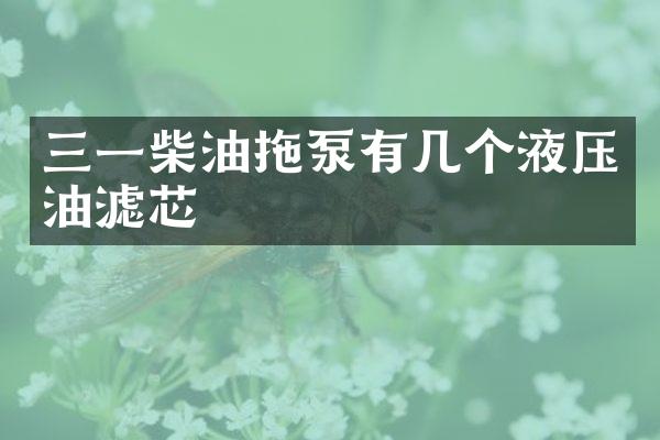 三一柴油拖泵有幾個液壓油濾芯