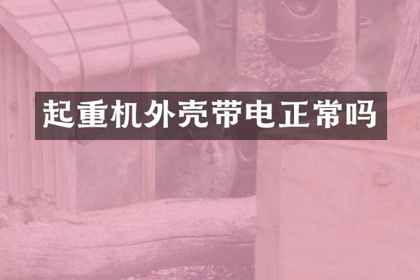 起重機外殼帶電正常嗎