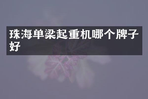 珠海單梁起重機哪個牌子好