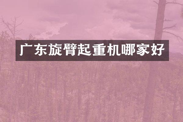 廣東旋臂起重機(jī)哪家好