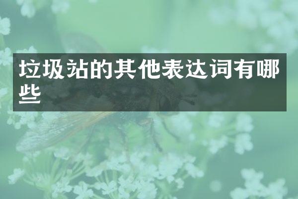 垃圾站的其他表達(dá)詞有哪些