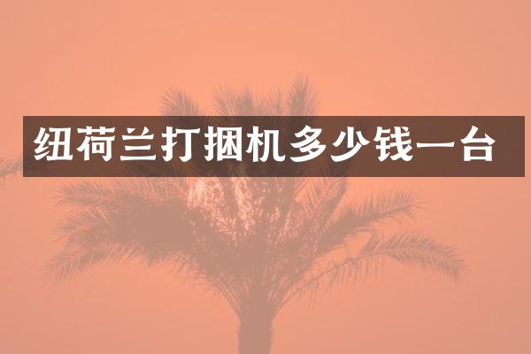 紐荷蘭打捆機(jī)多少錢(qián)一臺(tái)