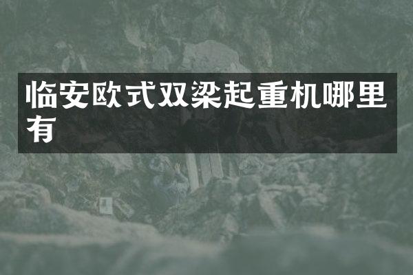 臨安歐式雙梁起重機(jī)哪里有