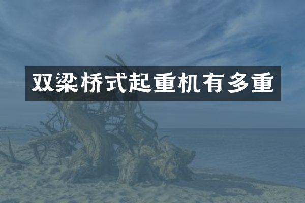 雙梁橋式起重機有多重