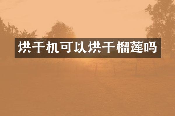 烘干機可以烘干榴蓮嗎