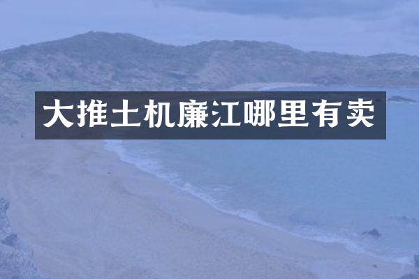 大推土機(jī)廉江哪里有賣