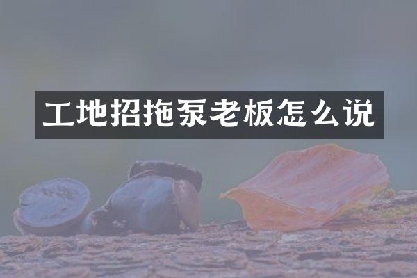 工地招拖泵老板怎么說