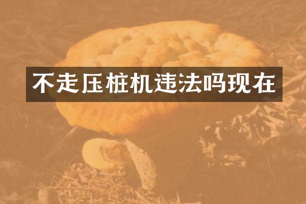 不走壓樁機(jī)違法嗎現(xiàn)在