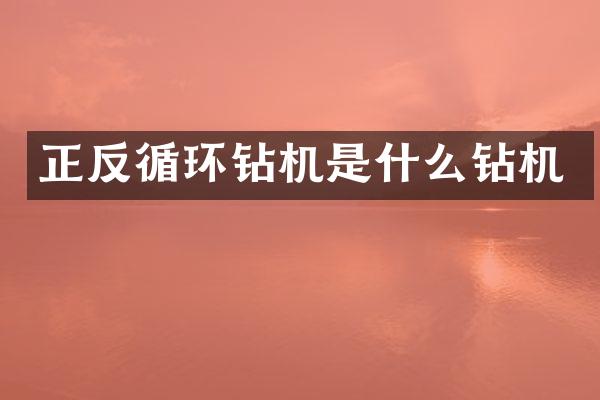 正反循環(huán)鉆機(jī)是什么鉆機(jī)