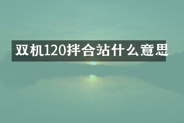 雙機(jī)120拌合站什么意思