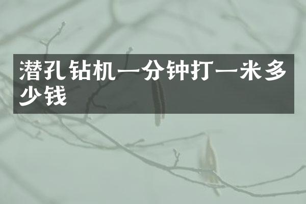 潛孔鉆機(jī)一分鐘打一米多少錢