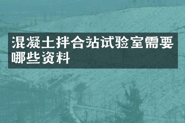 混凝土拌合站試驗(yàn)室需要哪些資料