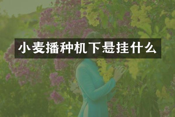 小麥播種機下懸掛什么