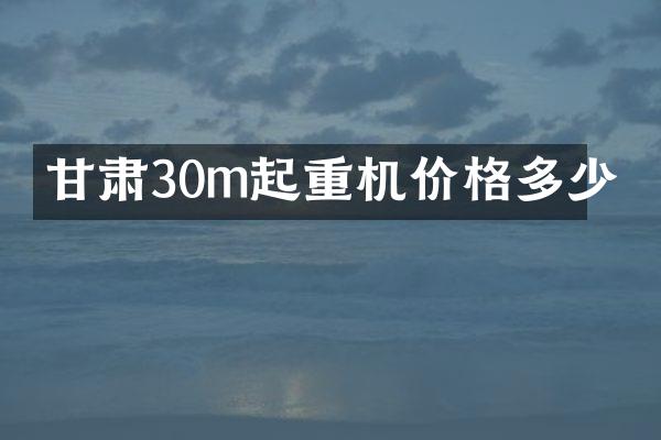 甘肅30m起重機價格多少