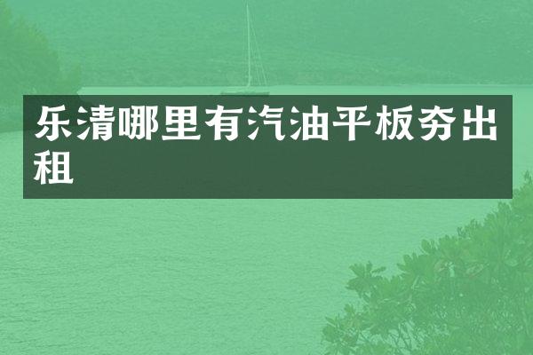 樂清哪里有汽油平板夯出租