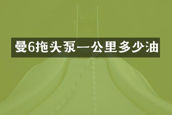 曼6拖頭泵一公里多少油