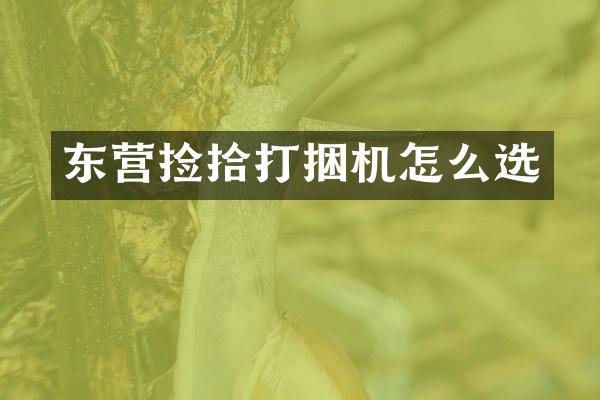 東營撿拾打捆機怎么選