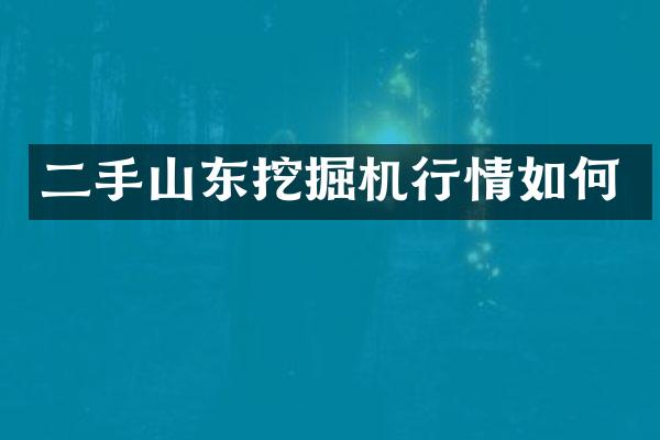 二手山東挖掘機行情如何