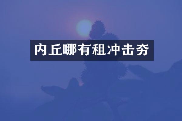 內(nèi)丘哪有租沖擊夯