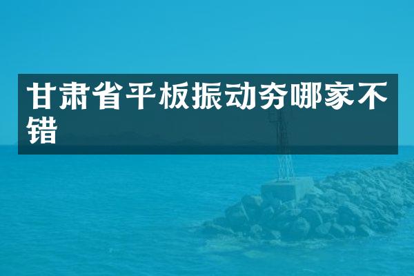 甘肅省平板振動夯哪家不錯