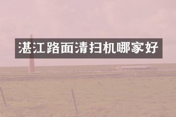 湛江路面清掃機哪家好