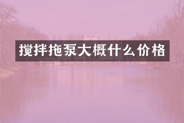 攪拌拖泵大概什么價(jià)格