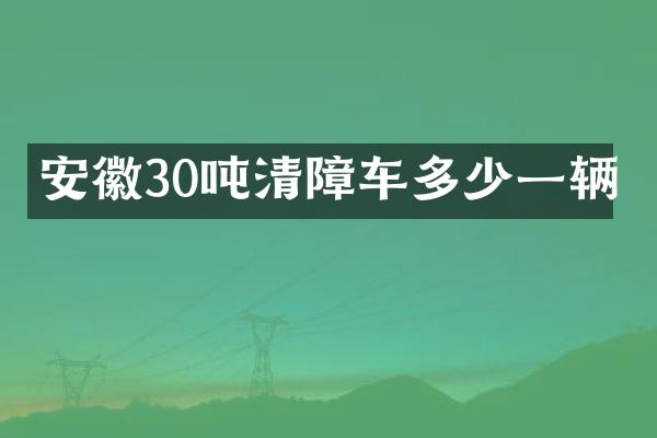 安徽30噸清障車多少一輛