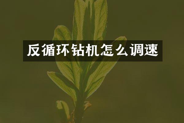 反循環(huán)鉆機(jī)怎么調(diào)速