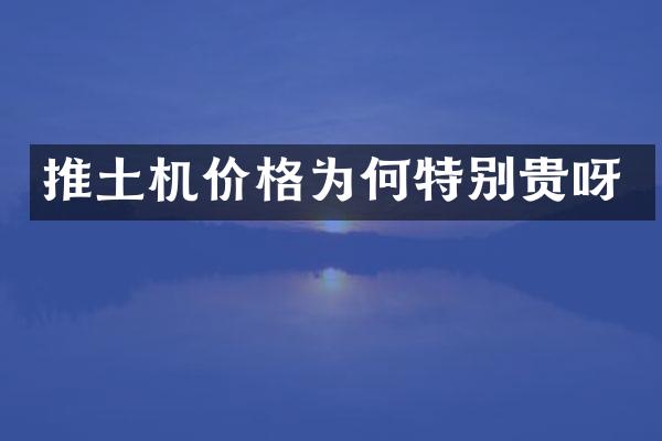 推土機價格為何特別貴呀