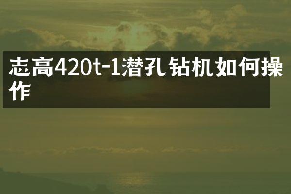 志高420t-1潛孔鉆機(jī)如作