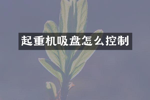 起重機(jī)吸盤怎么控制