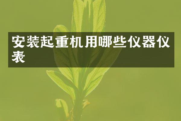 安裝起重機用哪些儀器儀表