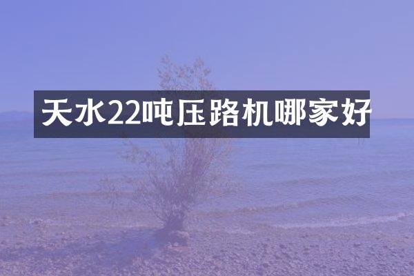 天水22噸壓路機(jī)哪家好