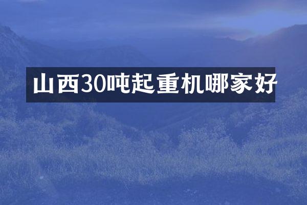 山西30噸起重機(jī)哪家好