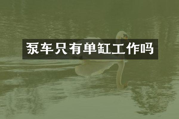 泵車只有單缸工作嗎